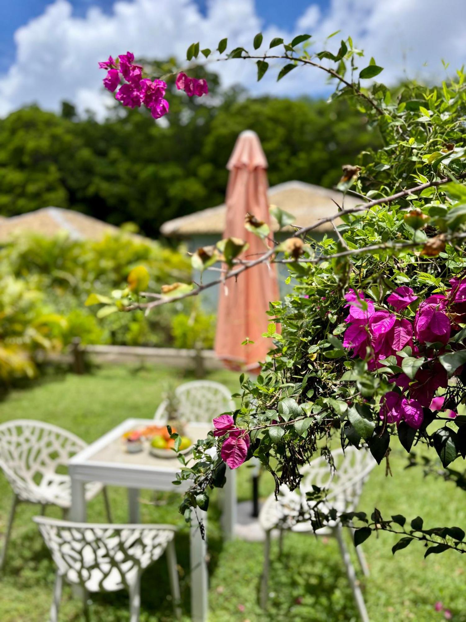 L Oralya - Blue Dream, Plage, Piscine, Restaurant Grand-Bourg  Екстериор снимка